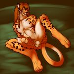  balls erection feline ishiga-san jaguar male mammal penis solo 