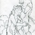  animal_genitalia anthro balls black_and_white canine canine_penis dragon erection eyes_closed fluffy_tail gay hybrid knot love male mammal maned monochrome nude open_mouth penis raccoon ruaidri sheath sketch wolf 