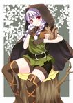  bad_id bad_pixiv_id belt braid cape cloak dragon's_crown elf_(dragon's_crown) gloves hood hooded_cloak long_hair pointy_ears red_eyes rin_ateria silver_hair smile solo squirrel thighhighs twin_braids zettai_ryouiki 