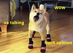  animated black_nose boots canine chewing dog doge english_text feral fur furniture low_res mammal meme open_mouth photo real shiba_inu shibe solo tan_fur text tongue 