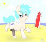  backsash balls beach blue_eyes blue_hair blush cloud cutie_mark equine erection feral friendship_is_magic fur hair horse male mammal multi-colored_hair my_little_pony open_mouth original_character outside penis pony sand sea seaside sky solo sun surfboard tan_fur tongue water 