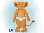  2013 bigger_version_at_the_source cub diaper disney exlax feline female kisu lion nala the_lion_king young 
