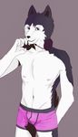  anthro discaria discario fur looking_at_viewer male plain_background solo topless underwear 