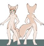  ajna anthro blue_eyes brown_hair butt canine casualfennec dune fennec fluffy_tail fox fur hair male mammal navel paws plain_background solo standing tan_fur white_background 