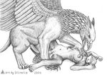  avian beak breasts canine claws feathers female feral forced gryphon imminent_rape interspecies male mammal penis perilous pussy rape size_difference ultrafox wings wolf 