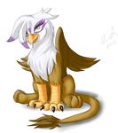  avian beak brown_feathers brown_fur chest_tuft claws female feral friendship_is_magic front fur gilda_(mlp) gryphon jinyaranda looking_at_viewer my_little_pony plain_background sitting solo tail_tuft tuft white_background white_feathers wings yellow_eyes 