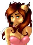  anthro brown_hair canine female green_eyes grin hair looking_at_viewer mammal meershroom plain_background solo transparent_background wolf 