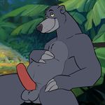  anthro balls baloo bear chubby claws complication_5 disney erection fur jungle jungle_book leaves looking_at_viewer male mammal nude outside overweight paws penis solo talespin 