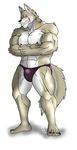  abs anthro biceps big_muscles black_nose blue_eyes blush bulge canine claws clothing fangs fur grey_fur grin hentist looking_at_viewer male mammal muscles pecs pose smile solo speedo standing swimsuit teeth toe_claws toned topless vein white_fur wolf 