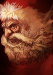  bad_id bad_pixiv_id beard christmas facial_hair kansou_samehada male_focus manly original santa_claus solo 