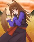  animal_ears brown_eyes brown_hair holo long_hair open_mouth signature solo spice_and_wolf tail wolf_ears wolf_tail yukihiro 
