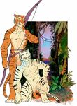  balls biceps blue_eyes bow bow_(weapon) duo feline flaccid forest front gay green_eyes jungle kneeling looking_at_viewer male mammal muscles negger nipples nude pecs penis plain_background pose ranged_weapon smile standing tiger tree weapon white_background white_tiger 