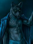  anthro attractive biceps black_fur black_nose canine clothing dark fur glowing glowing_eyes green_eyes grey_fur looking_at_viewer luther male mammal muscles night pants pecs pose rukis scar shirt solo standing topless wolf 