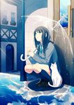  achiki black_hair braid cardigan cat green_eyes hair_over_shoulder highres long_hair necktie open_mouth original puddle rain rainbow reflection ripples school_uniform solo squatting transparent transparent_umbrella twin_braids umbrella water 