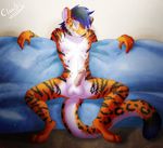  balls cloudy_kitty erection feline male mammal penis presenting solo tiger 