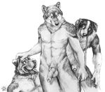  anatomically_correct animal_genitalia balls blotch border_collie canine canine_penis collar dog erection eye_contact gay group group_sex knot leash male mammal monochrome penis plain_background sex sheath threesome tongue white_background wolf 