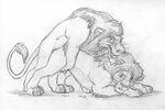  anal ass_up cat chris_mckinley disney doggystyle duo feline feral feral_on_feral from_behind gay greyscale kovu lion male mammal mckinley monochrome pencil_(art) penis scar_(the_lion_king) sex simba sketch the_lion_king 