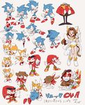  animal_ears aoki_(fumomo) bald brown_hair cat_ears cat_tail dr._eggman dress facial_hair furry gloves hat highres knuckles_the_echidna mustache seira_(sonic) shoes sonic sonic_the_hedgehog sunglasses tail tails_(sonic) 