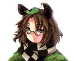  animal_ears brown_eyes brown_hair checkered futatsuiwa_mamizou glasses leaf leaf_on_head pince-nez raccoon_ears ryuu_(multitask) scarf touhou upper_body 