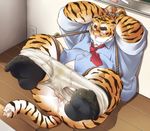  anus balls big_muscles blush bound chubby clothing feline fully_bound fur hair male mammal muscles necktie nude rope solo teacher tiger unknown_artist 