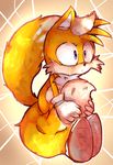  canine chest_tuft cute fluffy_tail fox fur mammal miles_prower multiple_tails sega solo sonic_(series) tail_grab tail_hug tuft whenimjealous yellow_fur 