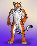  aggrobadger anthro balls biceps black_fur body_markings chest_tuft fangs feline fur green_eyes grin male mammal markings muscles nude orange_fur pecs penis pink_nose pose presenting sheath smile solo standing stripes teeth tiger tongue tuft white_fur 