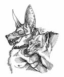  anthro ball_gag bdsm canine dogsoul forced gag jackal male mammal monochrome piercing rope wolf 
