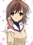  auauun bad_id bad_pixiv_id brown_eyes brown_hair clannad furukawa_nagisa hikarizaka_private_high_school_uniform school_uniform short_hair solo 