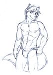  abs anthro biceps bulge canine chest_tuft fox front fur furrybob grin hair looking_at_viewer male mammal muscles navel nipples pecs pose short_hair sketch smile solo speedo standing swimsuit topless tuft 