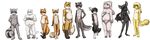  aogami balls bat blue_eyes breasts canine chubby dog erection eyewear female flaccid fox fur glasses green_eyes grey_eyes grey_fur hi_res lagomorph male mammal naval navel nude one_eye_closed orane_fur orange_fur penis plain_background pussy rabbit raccoon uncut white_background white_fur yellow_fur young 