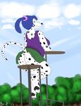  blue_hair butt canine chubby dalmatian dog dr_zombie female hair hindpaw invalid_tag june mammal paws ponytail pussy sitting skirt solo spots tree upskirt 