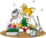  apron blue_eyes bucket flower miles_prower miles_tails_prower official_art sega shovel sonic_the_hedgehog watering_can worktool 