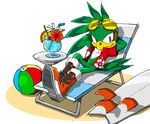  ball beach_ball beach_chair beachball hawaiian_shirt jet_the_hawk official_art sega shirt sonic_the_hedgehog sunglasses surfboard tropical_shirt 