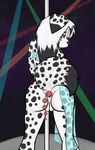  anal_beads anthro artemisthedusky bead canine dalmatian dog dusky female husky mammal pole pussy sex_toy standing wide_hips 