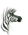  black_markings ears_up equine feral mammal markings mohawk open_mouth pencil_(art) plain_background pointy_ears solo stripes teeth traditional_media unknown_artist white_background zebra 