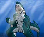  abs anthro balls biceps erection fangs fin fish fishmen glass great_white_shark male marine muscles nude open_mouth pecs penis pose shark solo teeth thecosmosowl water 