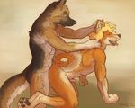  all_fours anal anal_penetration anthro canine dingo dog doggystyle duo erection eyes_closed from_behind gay german_shepherd hindpaw male mammal nude paws penetration penis sex skuell 
