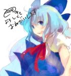  :d bad_id bad_pixiv_id blue_dress blue_eyes blue_hair blush bow bowtie cirno dress eiko_(tukino) looking_at_viewer open_mouth puffy_short_sleeves puffy_sleeves red_bow red_neckwear short_hair short_sleeves simple_background smile solo tareme touhou white_background 