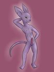  anthro balls beerus bills cat dragon_ball dragon_ball_z erection feline looking_at_viewer male mammal nude penis plain_background solo zekromlover 
