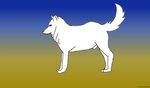  blue_eyes canine dog invalid_tag male sheath whitewolf&oacute;&oacute;&ograve;&ograve; wolf zepiwolf 