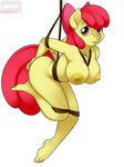  amber_eyes anthro anthrofied apple_bloom_(mlp) bdsm big_breasts biting_lip bondage bound bow bra breasts equine female friendship_is_magic fur hair hanging horse kloudmutt lip_bite looking_at_viewer mammal my_little_pony nipples nude plain_background pony red_hair rope solo teeth underwear white_background yellow_fur 