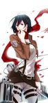  bad_id bad_pixiv_id black_hair emblem mikasa_ackerman military military_uniform niro paradis_military_uniform scarf shingeki_no_kyojin short_hair solo survey_corps_(emblem) sword three-dimensional_maneuver_gear uniform weapon 