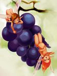  2girls fairy food fruit genda grape grapes insect_wings minigirl multiple_girls nude wings 
