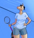  equine female hair horse lima looking_down mammal outside ponytail short_hair siyah smile sports tennis 