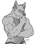  anthro biceps big_muscles canine crossed_arms dissimulated ear_piercing fur male mammal monochrome muscles nipples pecs piercing plain_background pose solo standing topless underwear vein white_background 
