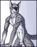  anthro balls biceps black_fur black_nose blue_eyes body_markings chest_tuft fangs feline feralise fur grey_fur grin looking_at_viewer lynx male mammal markings muscles nude open_mouth pecs penis pose presenting sheath smile solo spots standing teeth tongue tuft white_fur 