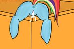  bribe cum cum_inside desk equine female feral friendship_is_magic fur horse mammal my_little_pony pony pussy rainbow_dash_(mlp) solo 