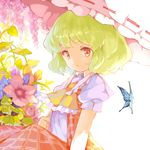  ascot bug butterfly flower green_hair hillly_(maiwetea) insect kazami_yuuka plaid red_eyes short_hair skirt solo touhou umbrella 