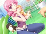  aogiri_penta denim dog dutch_angle game_cg jeans jpeg_artifacts kirishima_yae long_hair navel non-web_source one_eye_closed pants pink_hair purple_eyes solo yamitsuki! 