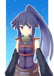  akatsuki_(log_horizon) bare_shoulders detached_sleeves highres log_horizon long_hair mzrz ponytail purple_eyes purple_hair smile solo 